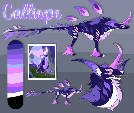 Complex Reference Sheet